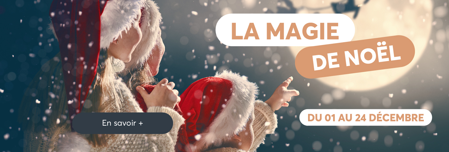 Noël 2025 à Auchan Nantes Saint Sebastien